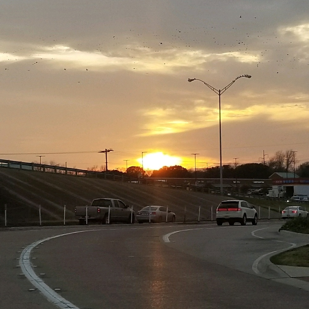 Meet your Posher, Tracy